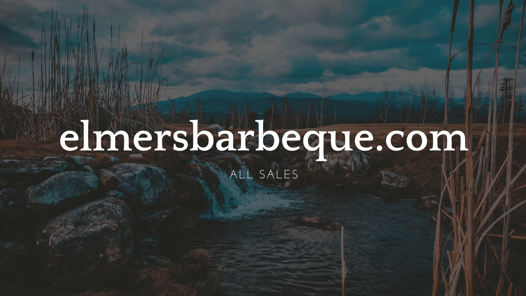 naregale.com (58)